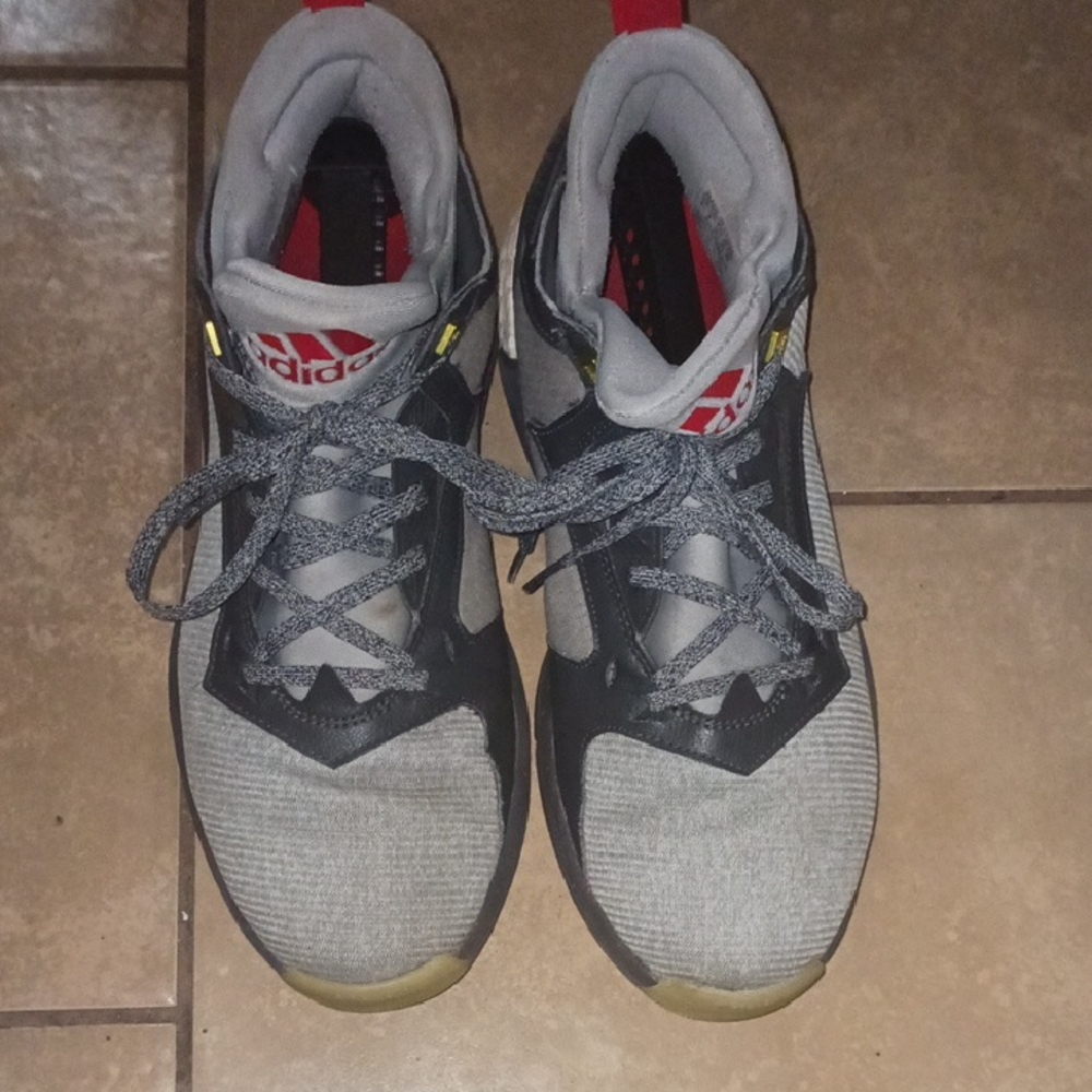 Adidas Gray Sneakers with Red Logo